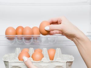 Polling: Mau Simpan Telur Mentah di Kulkas, Dicuci Dulu atau Tidak?