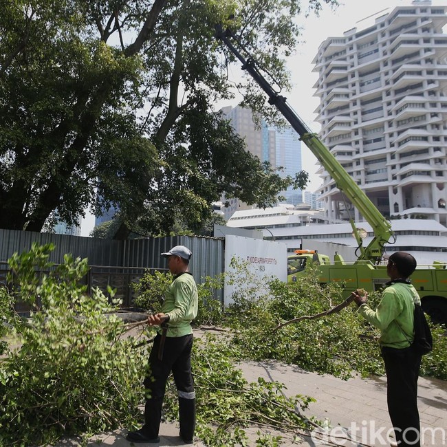 Antisipasi Pohon Tumbang di Jakarta