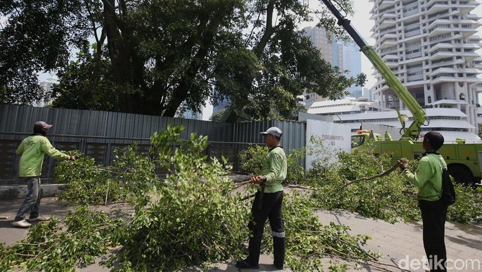 Sejumlah petugas Dinas Pertamanan dan Hutan Kota memotong ranting dan dahan pohon tua di Bendungan Hilir, Jalan Sudirman, Jakarta, Jumat (3/4/2026).
