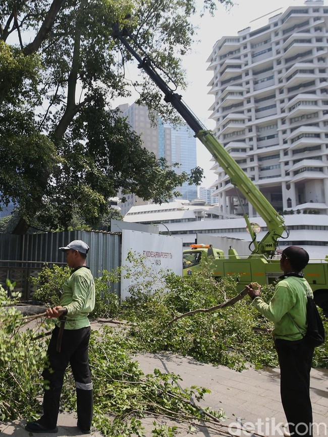 Antisipasi Pohon Tumbang di Jakarta