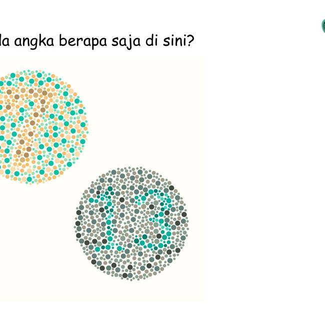 Picingkan Mata, Angka Berapa yang Terlihat?