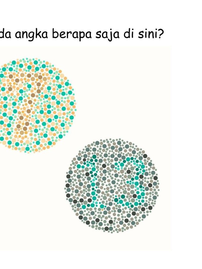 Picingkan Mata, Angka Berapa yang Terlihat?