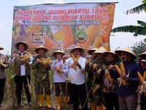 Perkuat Swasembada Pangan, BULOG Dukung Panen Raya Jagung di Blora