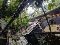 Angin Kencang Terjang Sleman, Pohon Tumbang Timpa Mobil hingga Rumah