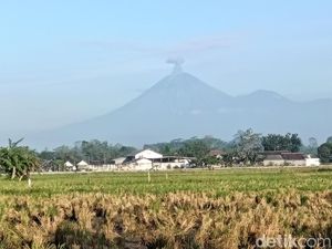 Gunung Semeru Erupsi 5 Kali Pagi Ini, Abu Capai 1.200 Meter