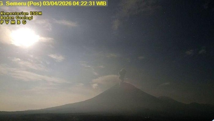 Gunung Semeru kembali erupsi dengan tinggi letusan capai 1.200 meter di atas puncak pada Jumat (3/4/2026) pagi.