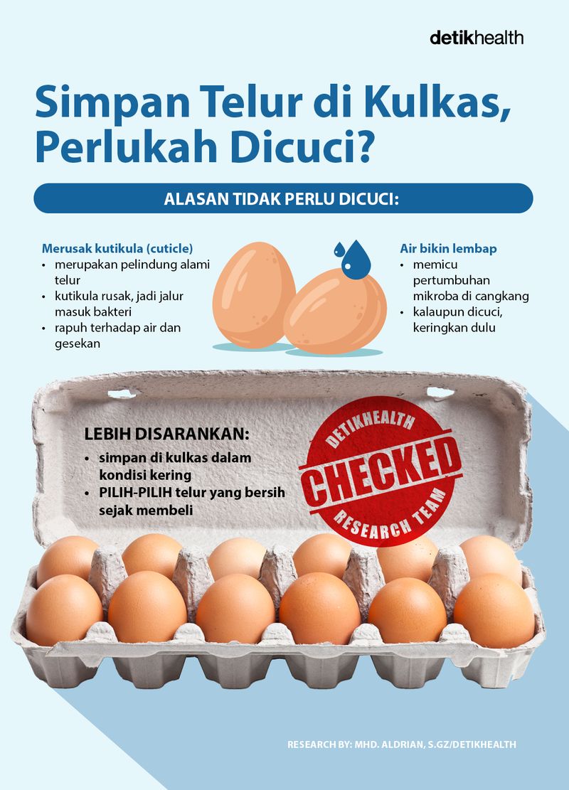 Infografis: menyimpan telur di kulkas