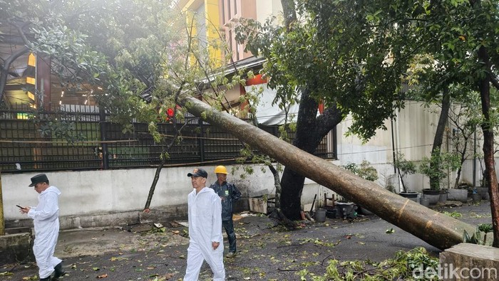 Pohon tumbang timpa supermarket di Bandung.
