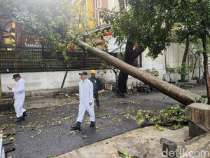 Atap Supermarket di Pajajaran Bandung Ringsek Kena Pohon Tumbang