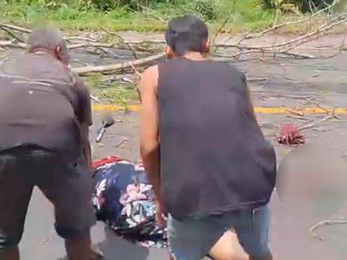 Seorang perempuan bernama Nita Komala Sari tewas tertimpa pohon tumbang di Jalan Praya-Kopang, Lombok Tengah, Jumat (3/4/2026). (Foto: Humas Polres Lombok Tengah)