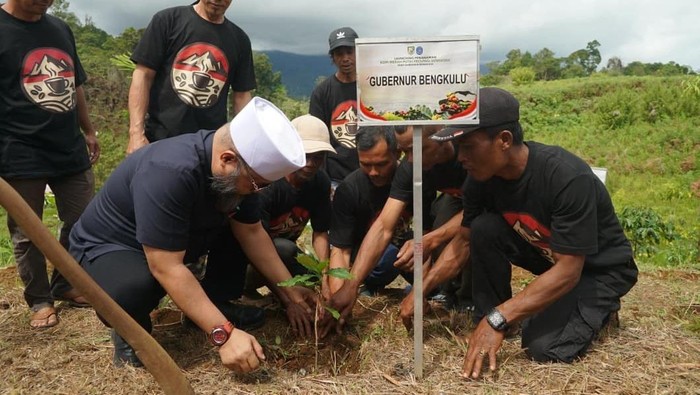 Tanam bibit kopi untuk mendukung program perhutanan sosial