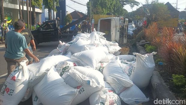 Truk pakan ternak terguling akibat kecelakaan Truk pakan ternak terguling akibat kecelakaan di Malang