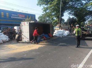 Truk Muat Pakan Ayam Terguling Usai Hantam Bus Bagong-Panther di Malang