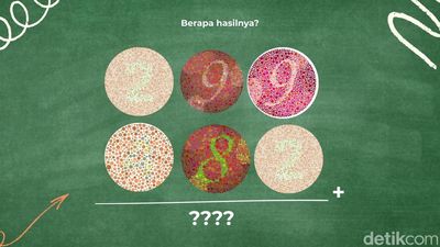 Tes Mata dan Kecerdasan, Belum Ada yang Bisa Jawab Benar Semua