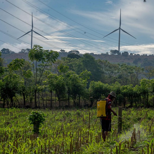 Dorong Energi Bersih, PLTB Nasional Ditingkatkan