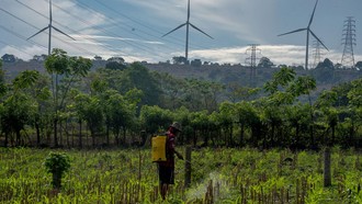 Dorong Energi Bersih, PLTB Nasional Ditingkatkan
