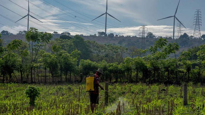 Petani menyemprotkan pestisida ke tanaman jagung dengan latar belakang kincir angin Pembangkit Listrik Tenaga Bayu (PLTB) Sidrap di Kabupaten Sidenreng Rappang, Sulawesi Selatan, Sabtu (4/4/2026). Berdasarkan RUPTL PT PLN (Persero) 20252034, Pemerintah akan menambah kapasitas PLTB hingga 7.187,5 MW dengan total investasi mencapai 11,14 miliar dolar Singapura sebagai upaya menghadirkan sistem kelistrikan lebih ramah lingkungan guna mendukung pencapaian target emisi nol bersih pada 2060. ANTARA FOTO/Hasrul Said/wsj.