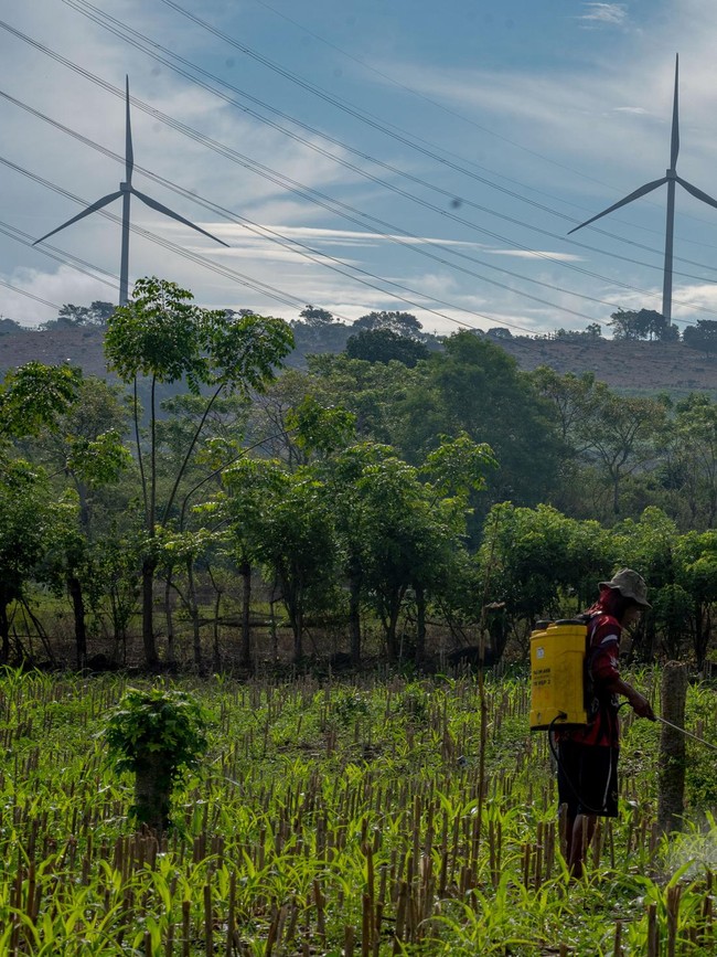 Dorong Energi Bersih, PLTB Nasional Ditingkatkan