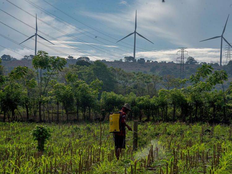 Dorong Energi Bersih, PLTB Nasional Ditingkatkan