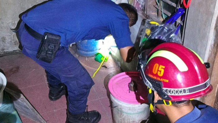 Evakuasi ular kobra di Mutihan, Kecamatan Gantiwarno, Klaten, Jumat (3/4/2026) malam.