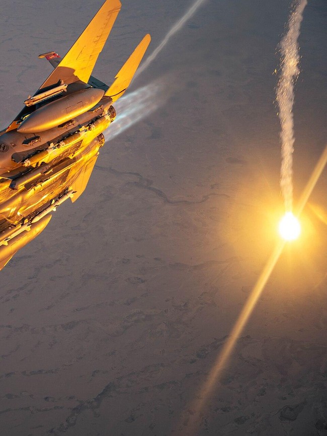 Wujud dan Kecanggihan Jet Tempur F-15E yang Dijatuhkan Iran