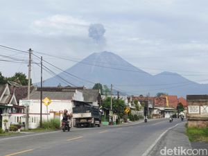 Gunung Semeru Erupsi Lagi Pagi Ini, Begini Statusnya