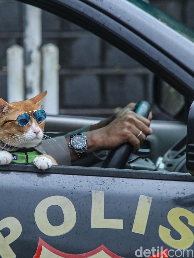 Kucing Oyen Jadi Partner Patroli, Cara Jitu Polisi Dekati Warga