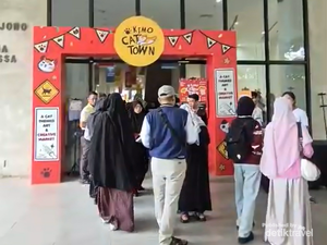 Video: POV Main ke Workshop Serba Kucing di Taman Ismail Marzuki