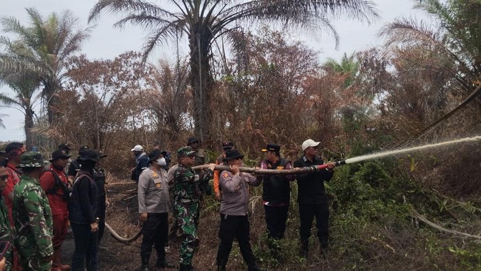 Petugas gabungan berhasil memadamkan kebakaran lahan di Teluk Meranti, Pelalawan, Sabtu (4/4/2026).