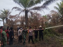 Polisi Tangkap Pelaku yang Bikin Karhutla Berhari-hari di Pelalawan