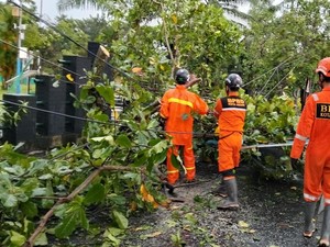 Hujan Angin di Kota Kediri Tumbangkan Belasan Pohon, Rusak Puluhan Rumah