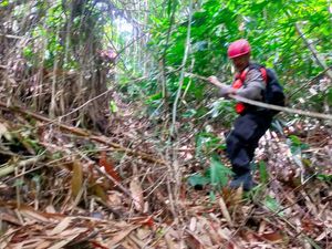 Pria di Ubud Mendadak Hilang Misterius
