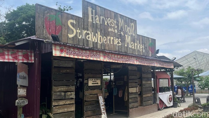 Harvest Moon, tempat jual makanan olahan stroberi. 