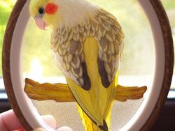 Potret Orang-orang dengan Hobi Kerennya