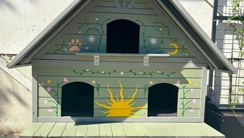 Pencinta kucing mengecat rumah kucing menjadi tampak cantik untuk persinggahan kucing-kucing liar di sekitar rumahnya. Foto: BoredPanda