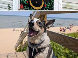 Potret Orang-orang dengan Hobi Kerennya