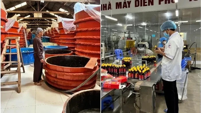 Krisis Saus Ikan! Kelangkaan Ikan Teri Ancam Warisan Kuliner Tradisional
