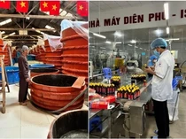 Krisis Saus Ikan! Kelangkaan Ikan Teri Ancam Warisan Kuliner Tradisional