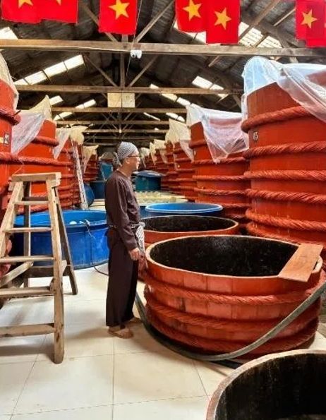 Krisis Saus Ikan! Kelangkaan Ikan Teri Ancam Warisan Kuliner Tradisional