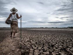 Kedatangan El Nino Bisa Merenggut Nyawa? Ini Kata Profesor BRIN