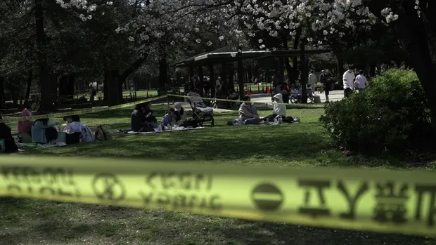 Kegiatan hanami dibatasi di Taman Kinuta, Tokyo, akibat adanya pohon sakura yang rapuh.