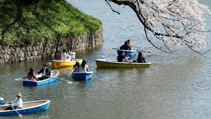 Visitors ride boats next to blooming cherry blossoms at Chidorigafuchi Park in Tokyo, Japan, April 3, 2026. REUTERS/Kim Kyung-Hoon      TPX IMAGES OF THE DAY