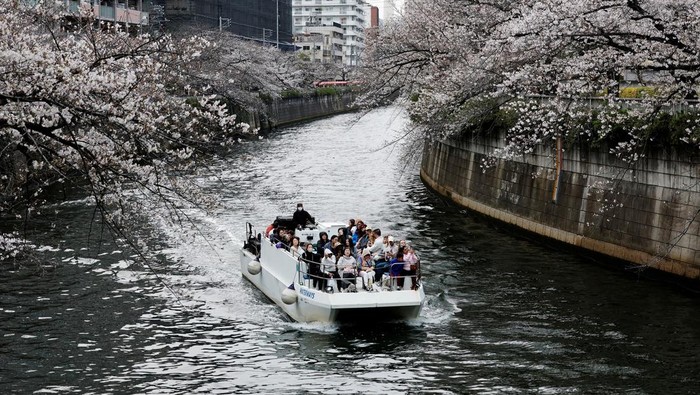 Visitors ride boats next to blooming cherry blossoms at Chidorigafuchi Park in Tokyo, Japan, April 3, 2026. REUTERS/Kim Kyung-Hoon      TPX IMAGES OF THE DAY