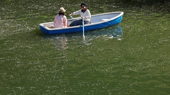 Visitors ride boats next to blooming cherry blossoms at Chidorigafuchi Park in Tokyo, Japan, April 3, 2026. REUTERS/Kim Kyung-Hoon      TPX IMAGES OF THE DAY