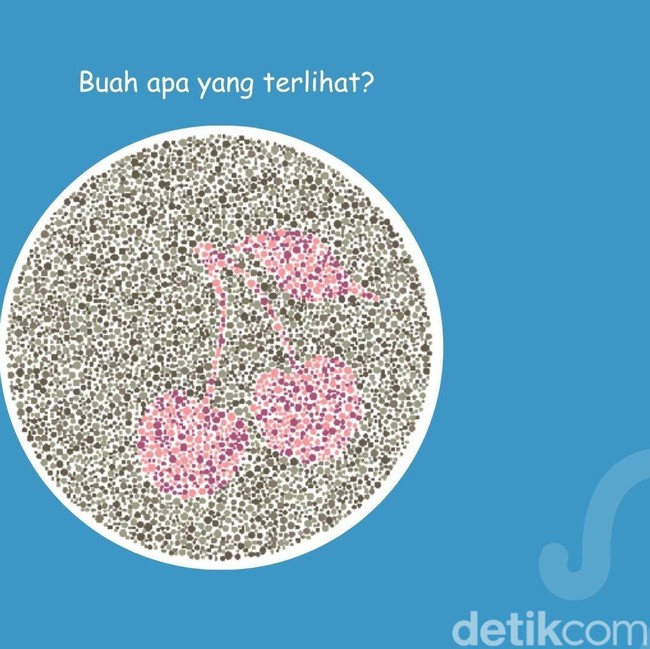 Bisa Lihat Buah Apa di Gambar Ini? Mayoritas yang Lulus Ujian SIM Pasti Bisa Jawab
