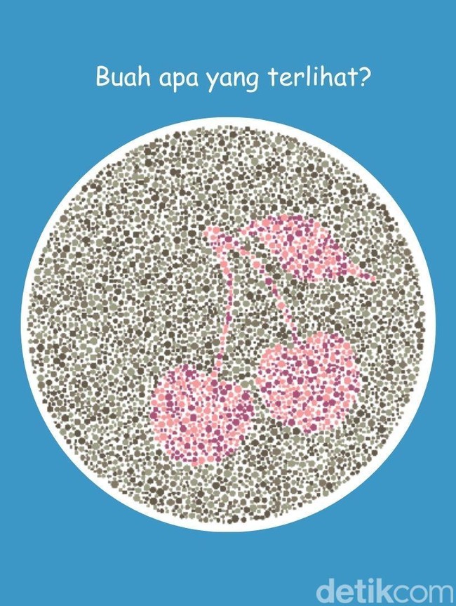 Bisa Lihat Buah Apa di Gambar Ini? Mayoritas yang Lulus Ujian SIM Pasti Bisa Jawab