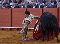 Tradisi Adu Banteng Kembali Bergulir di Sevilla