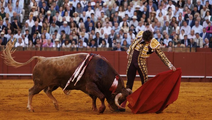 SEVILLE, SPAIN - APRIL 5: Peruvian matador Roca Rey performs a pass to a bull during a bullfight in Seville on April 5, 2026 in Seville, Spain. Today, Easter Sunday, is the first day of the bullfighting season at La Maestranza bullring. (Photo by Marcelo del Pozo/Getty Images)