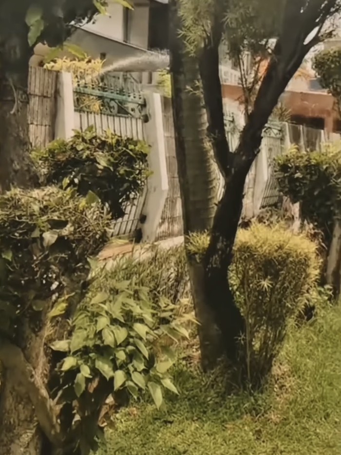 Aldi Taher Minta Maaf ke Tetangga yang Siram Pelanggan Aldi's Burger