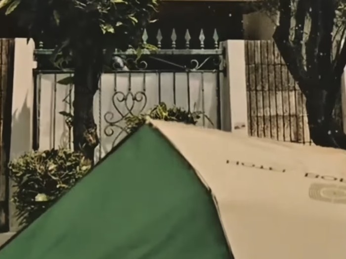 Aldi Taher Minta Maaf ke Tetangga yang Siram Pelanggan Aldi's Burger